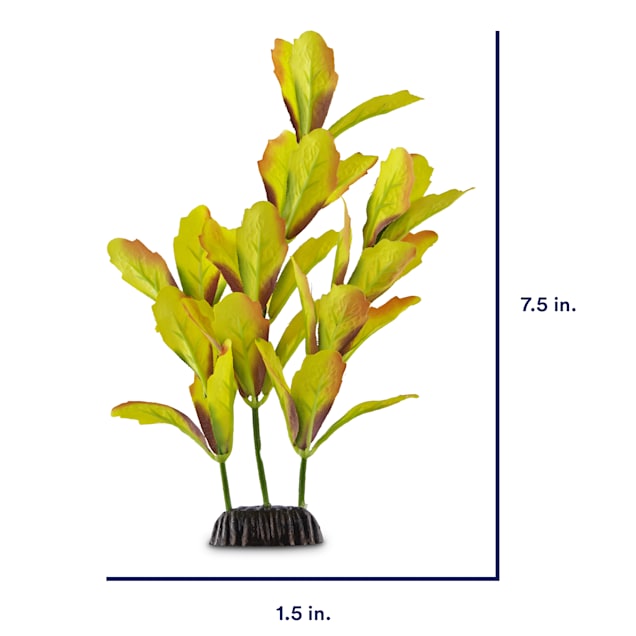Imagitarium Water Colors Foreground Aquarium Plant Small