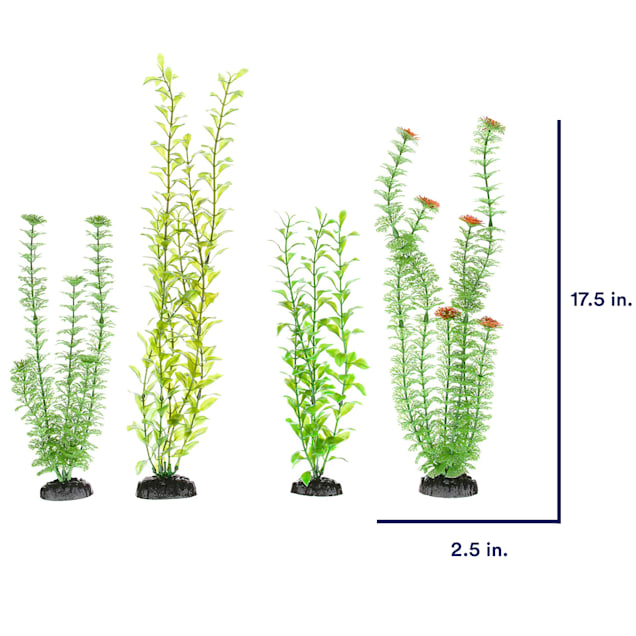 Aquarium plants 2025 list
