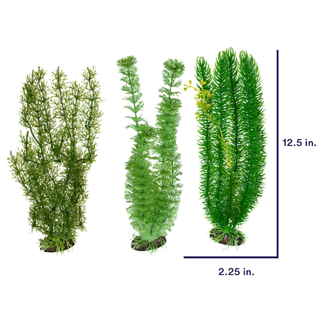 Live aquarium plants petco store