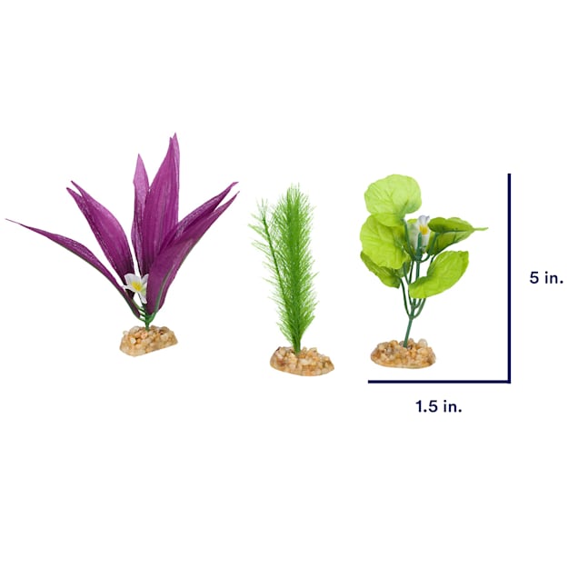 Artificial Air Plant 5in Set of Three Grey Green