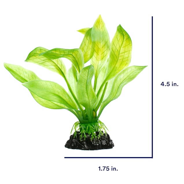 Imagitarium Amazon Sword Green Foreground Plastic Aquarium Plant Petco