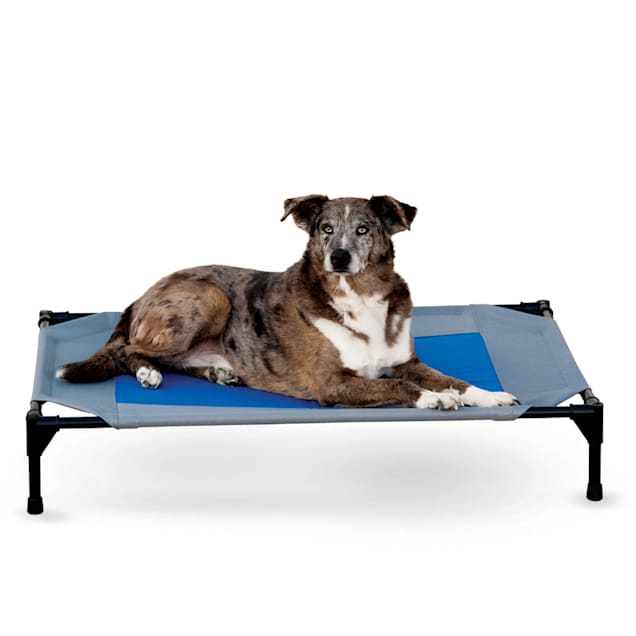 Dog outlet cots petco