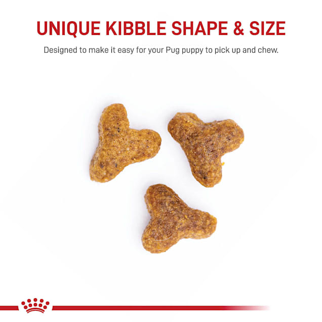 Royal Canin Breed Health Nutrition Pug Puppy Dry Dog Food 2.5 lbs
