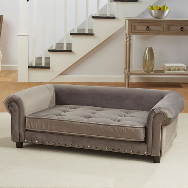 Petco dog couch store