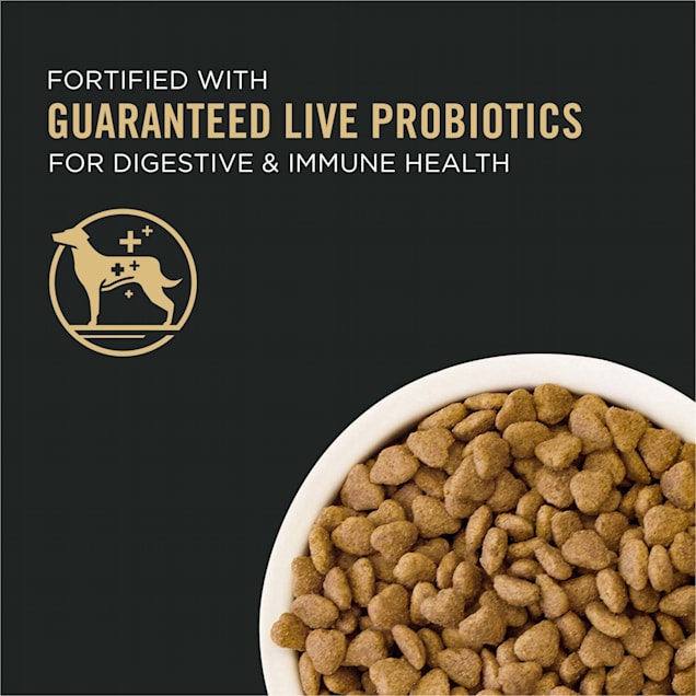 Pro plan dog food lamb and rice hot sale
