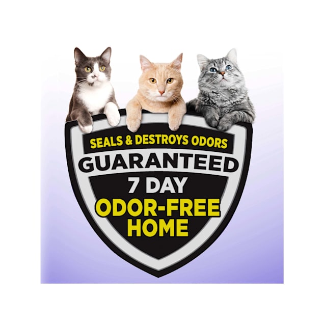 Fresh step cat litter 38 lbs best sale