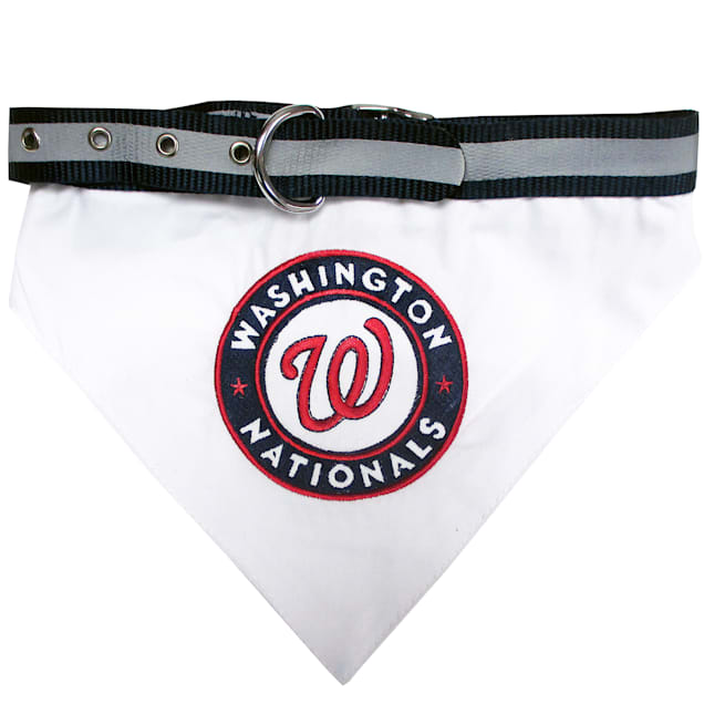 Pets First Washington Nationals Dog