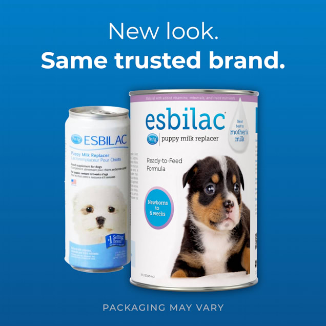 Petag milk replacer for puppies on sale