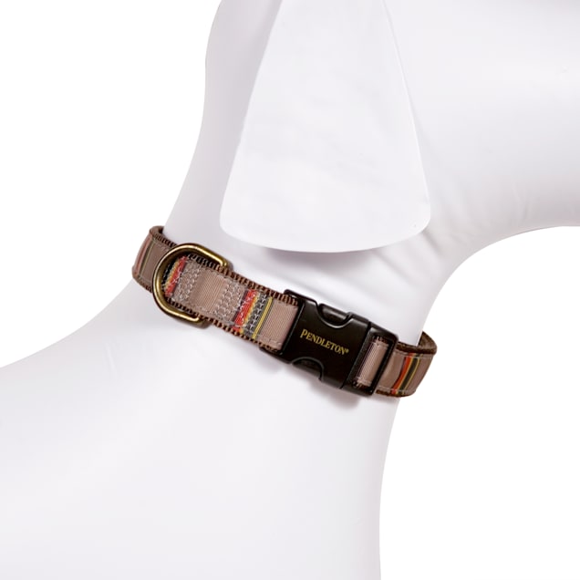 Camp dog deals collar