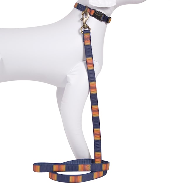 Pendleton deals dog leash