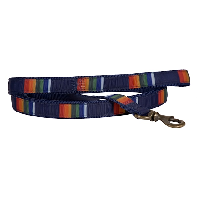 Pendleton Crater Lake National Park Hiker Dog Leash, 6' L - Carousel image #1