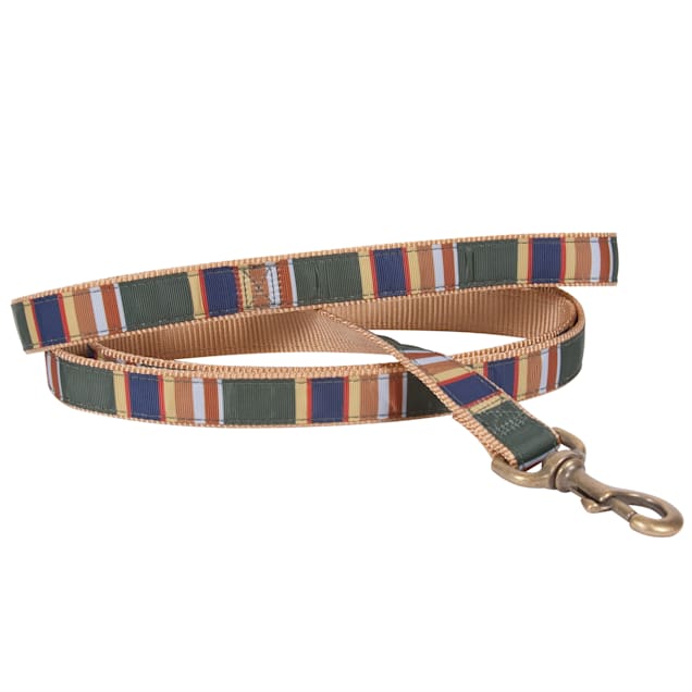 Pendleton Badlands National Park Hiker Dog Leash, 6' L - Carousel image #1