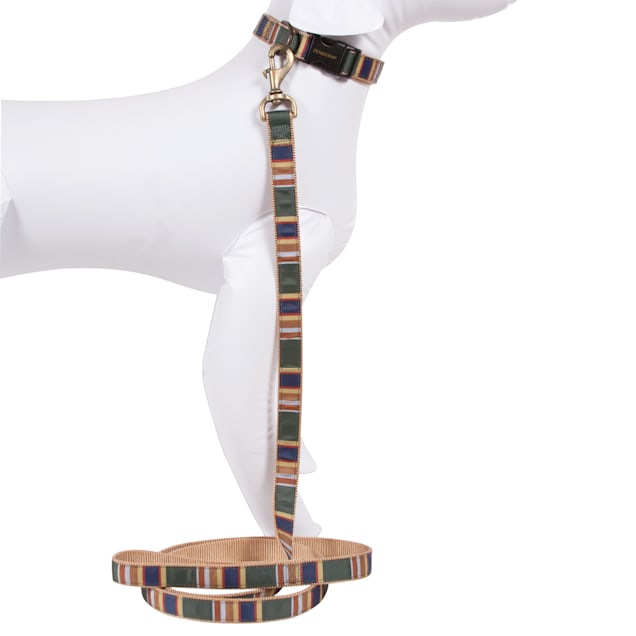 Pendleton Badlands National Park Hiker Dog Leash 6 L Petco