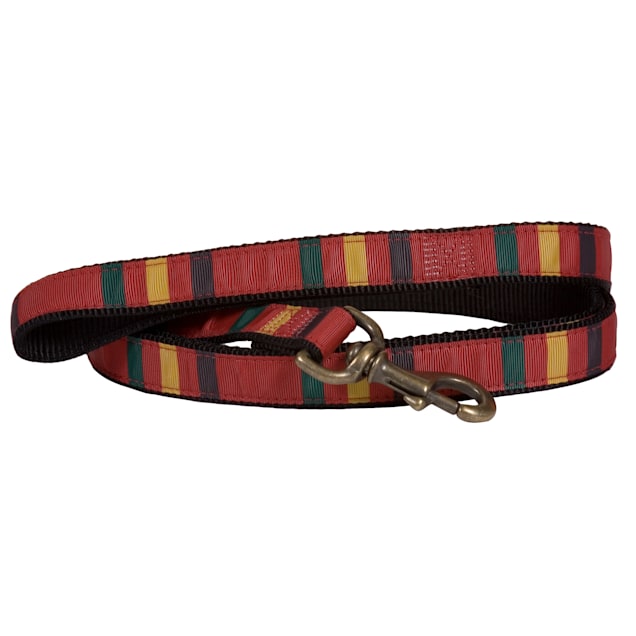 Pendleton Rainier National Park Hiker Dog Leash, 6' L - Carousel image #1