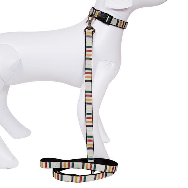 Pendleton glacier dog collar clearance