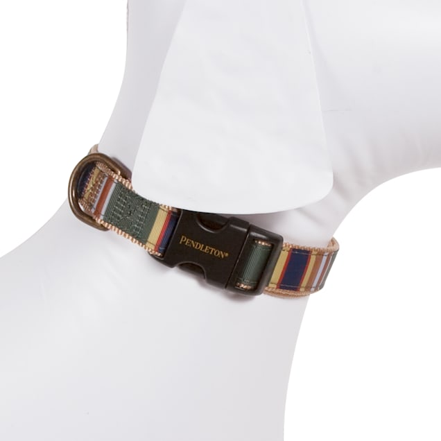 Pendleton Acadia National Park Hiker Dog Collar Medium