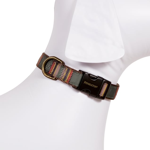 National park dog collar store