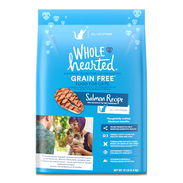 WholeHearted Grain Free Salmon Formula Dry Cat Food, 12 lbs. - Carousel image #1
