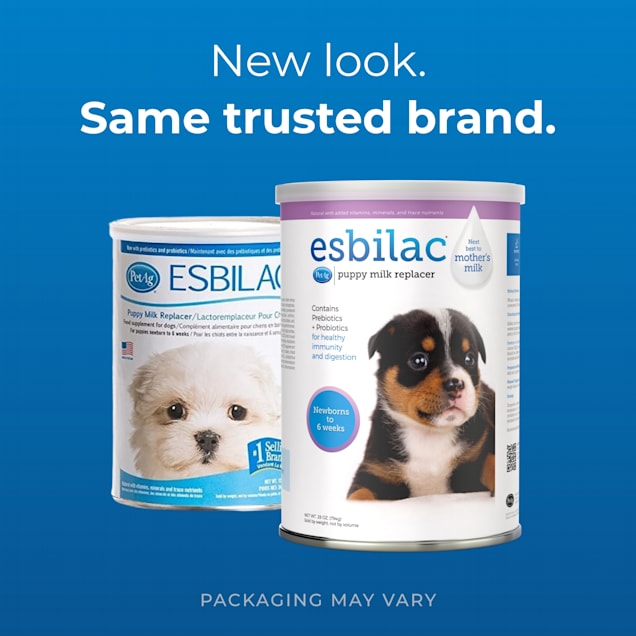 Homemade milk for puppies clearance