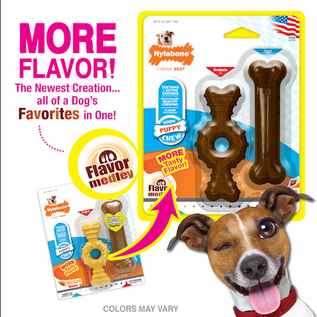 Nylabone Dura Chew Ring Bone Puppy Chew Bone Twin Pack Dog Toy Small Petco