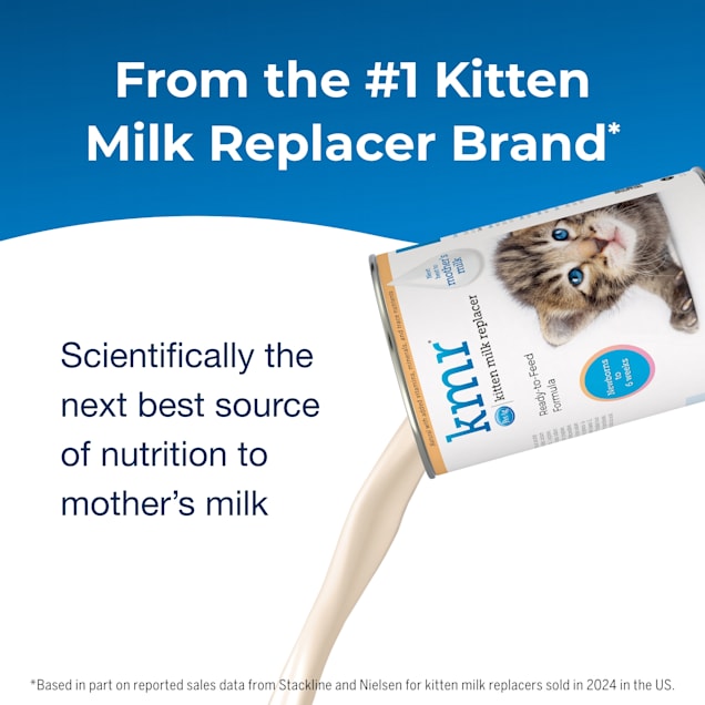 Petco cat milk cheap