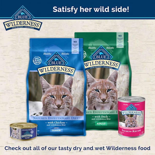 Blue Buffalo Wilderness Grain Free Crunchy Cat Treats 