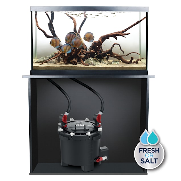 Canister filter petco on sale