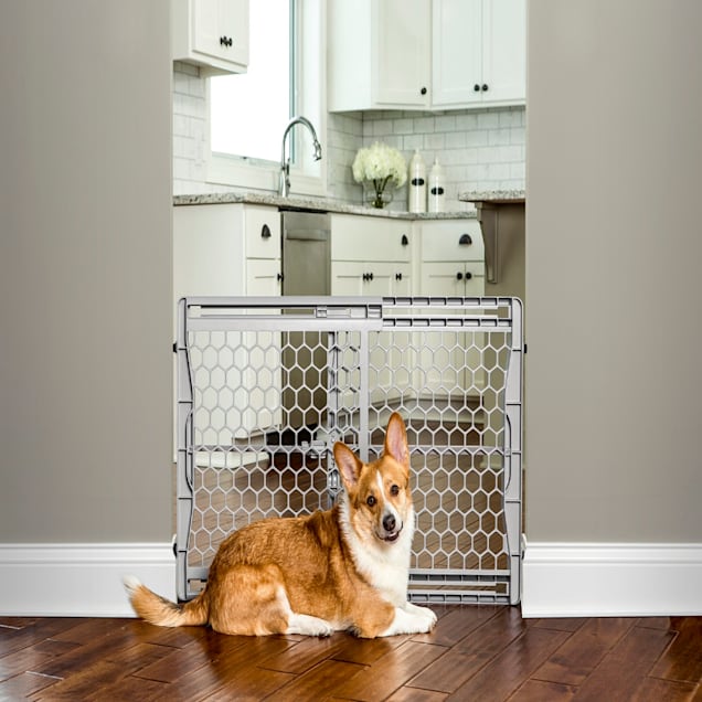 Carlson Pet Products Plastic Expandable Gate for Dogs 46