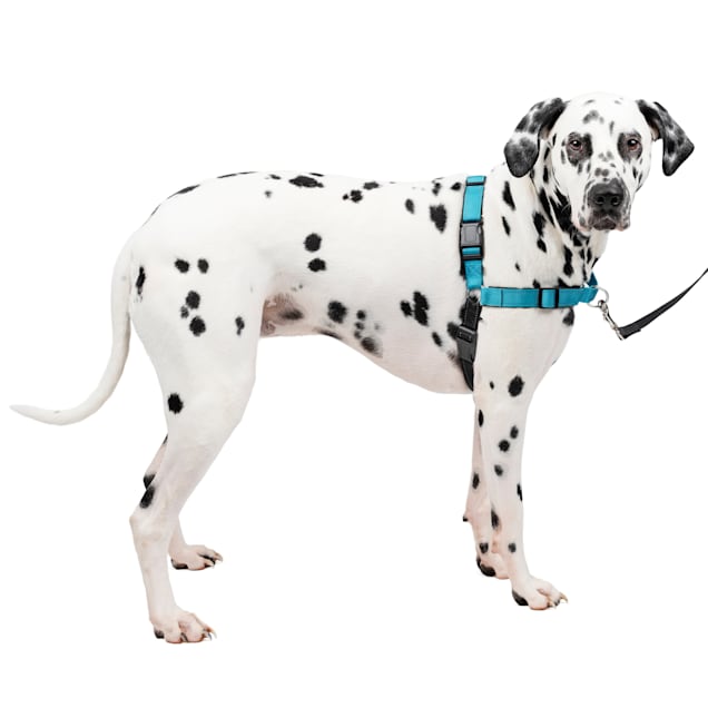 PetSafe Deluxe Easy Walk Dog Harness - Ocean - Large