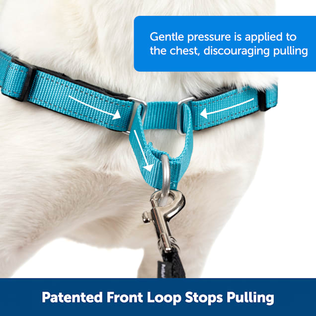 PetSafe Deluxe Easy Walk No Pull Harness in Steel Medium Petco
