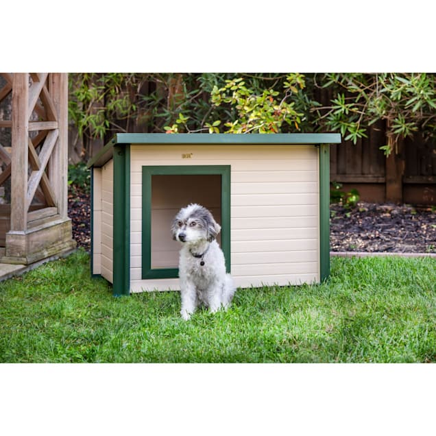 Petco new arrivals dog houses