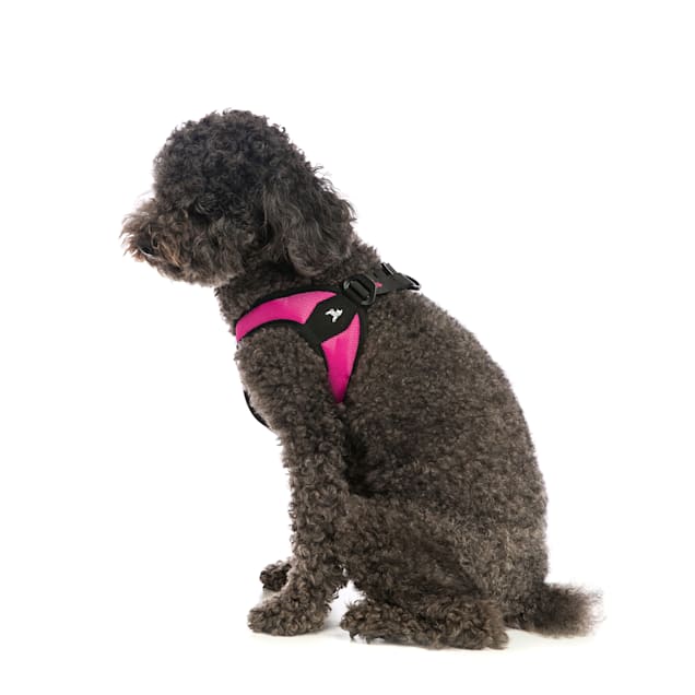 Gooby dog harness petco clearance