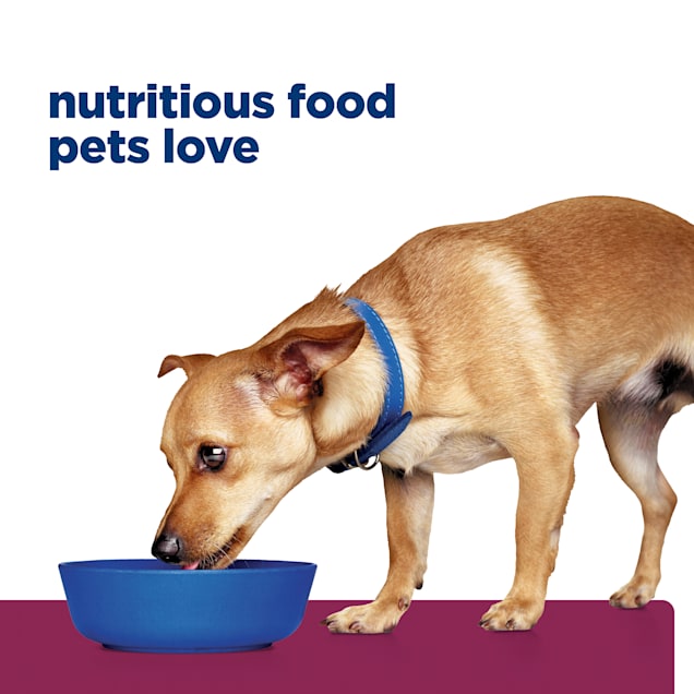 Hill's Prescription Diet i/d Digestive Care Small Bites Chicken Flavor Dry Dog Food, 7 lbs. Petco