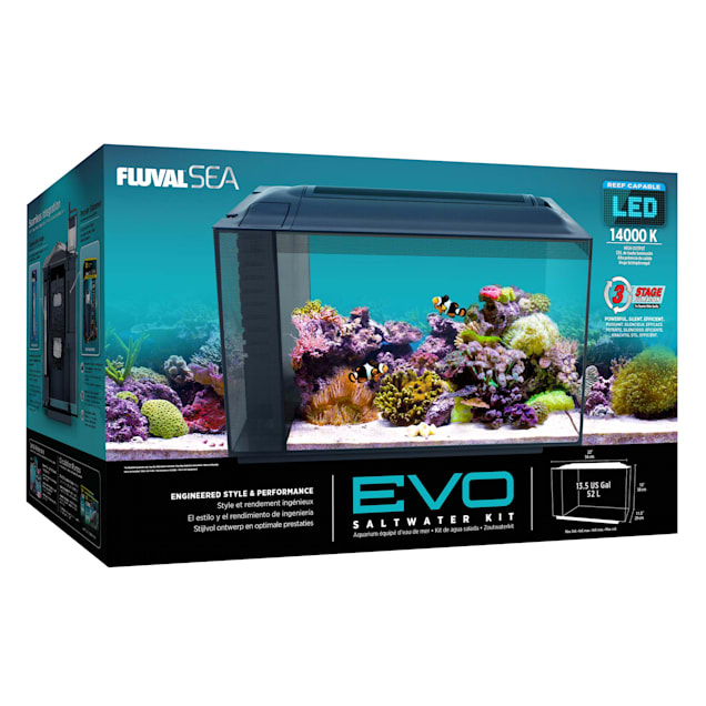 saltwater fish tank kit