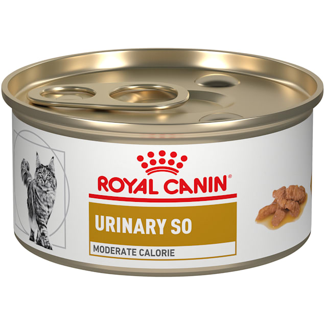 Royal Canin Veterinary Diet Feline Urinary SO Moderate Calorie Morsels In Gravy Canned Cat Food, 3 oz., Case of 24 - Carousel image #1