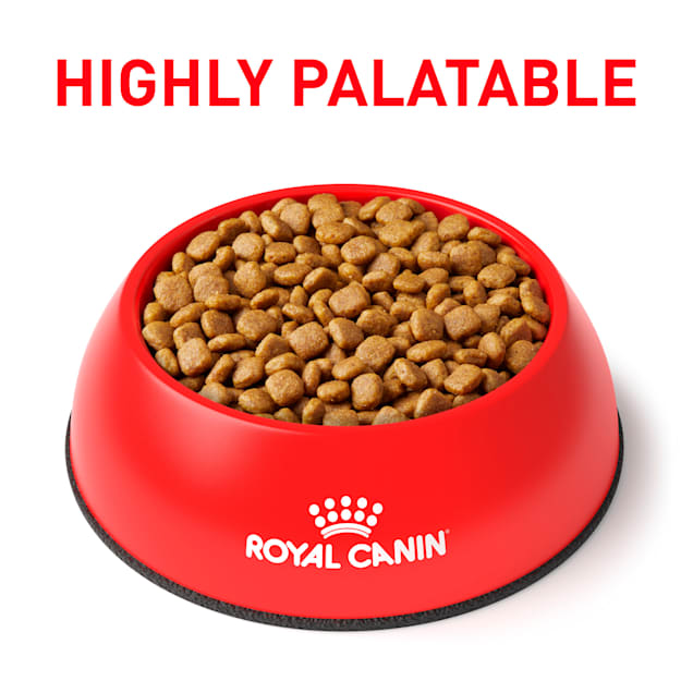 Royal canin calm store
