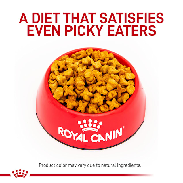 Veterinary diets dog satiety weight management Clearance