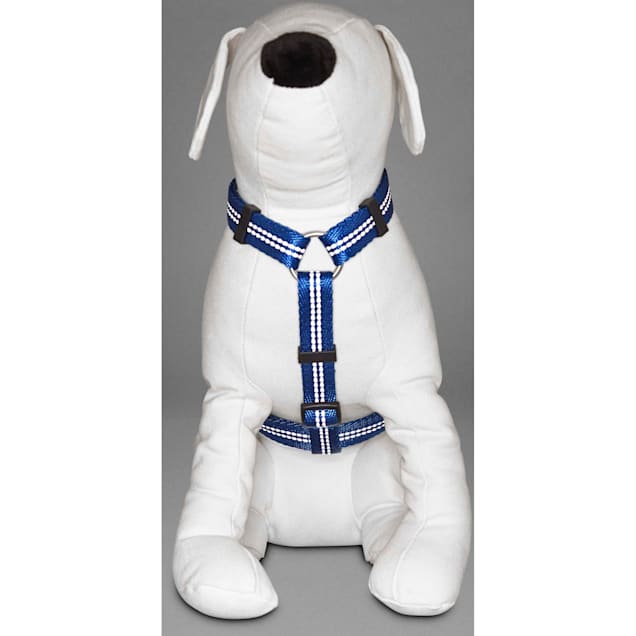 Petco good2go harness discount