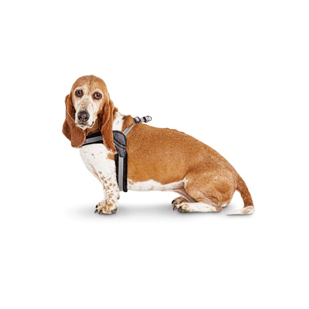 Good2Go Quick Fit Comfort Harness for Medium Large Dogs