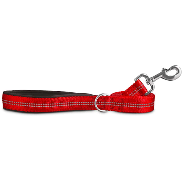 Petco long leash Clearance