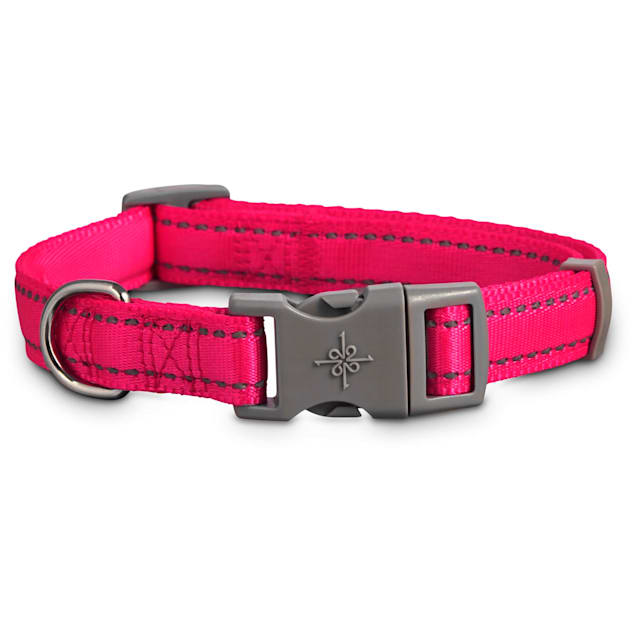 Good2go reflective dog collar Clearance