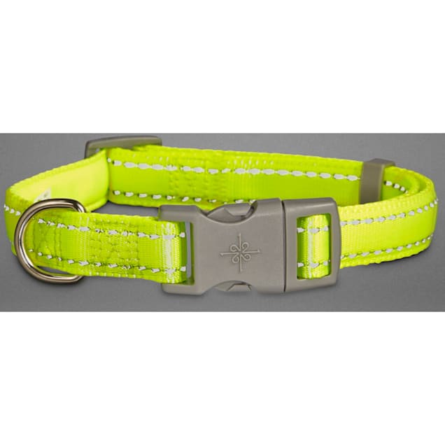 Good2go reflective dog collar Clearance