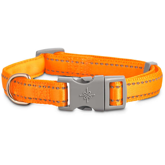 Orange reflective dog collar clearance