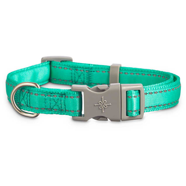 Light up dog collar petco Outlet