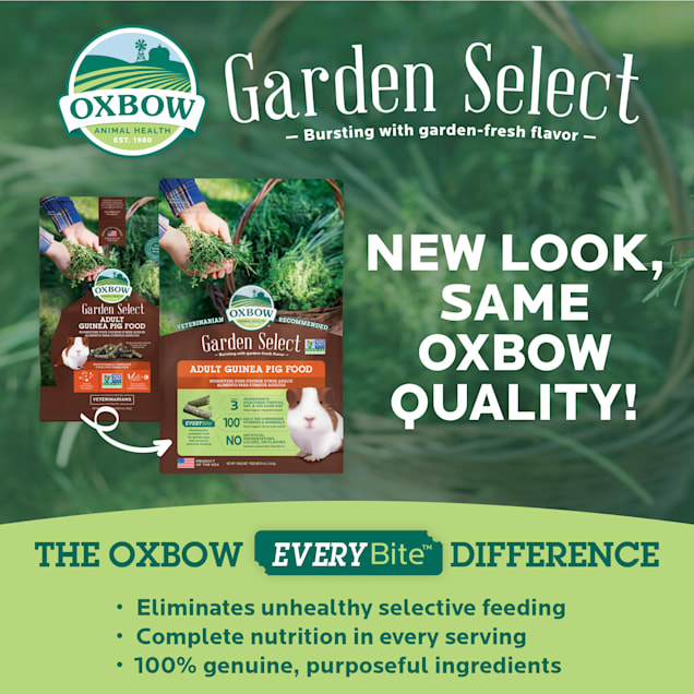 Oxbow guinea pig pellets store