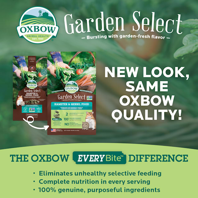 Oxbow animal health hamster and gerbil fortified food clearance