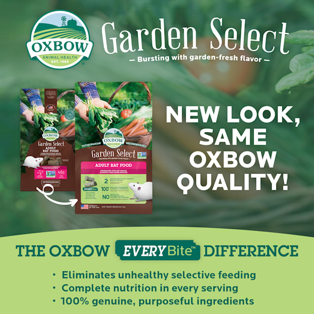 Oxbow rat food petco hot sale