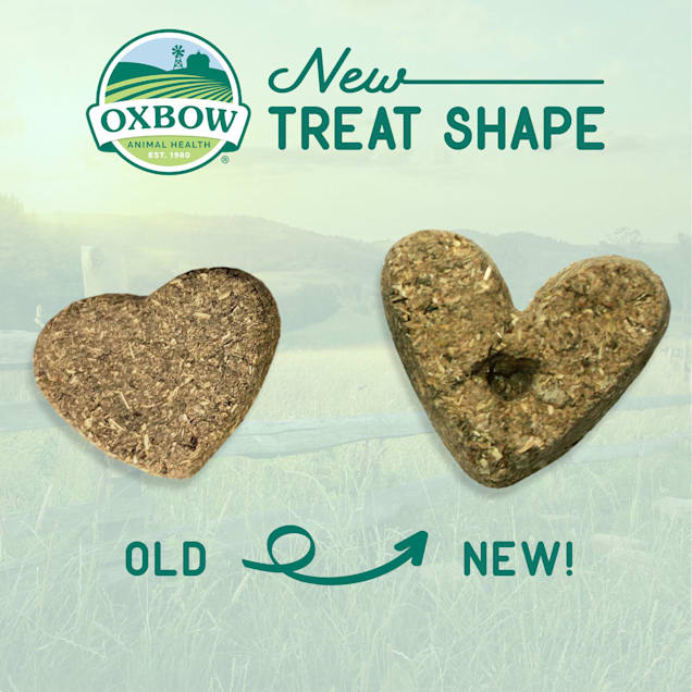 Oxbow Apple Banana Simple Rewards Baked Treats