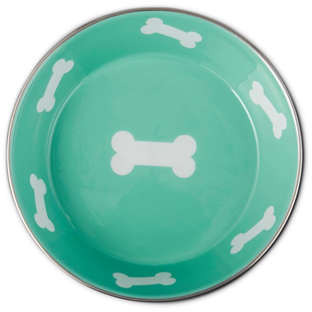 Harmony Teal Enameled Stainless Steel Dog Bowl, 6 Cups Petco