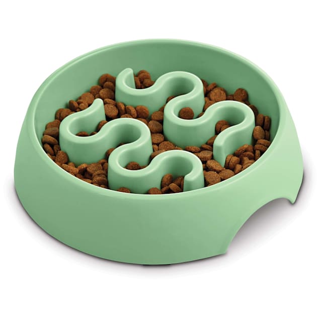 Harmony Mint Plastic Slow Feeder Dog Bowl, Large Petco